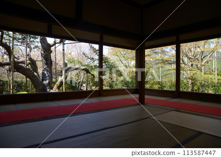 Hosen-in Temple: View of Bankan-en from the Shoin, Ohara, Sakyo-ku, Kyoto City Hosen-in Temple: View of Bankan-en from the Shoin, Ohara, Sakyo-ku, Kyoto City 113587447