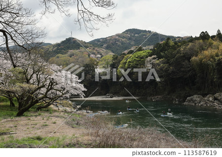 櫻淵公園新四郎櫻花節 113587619
