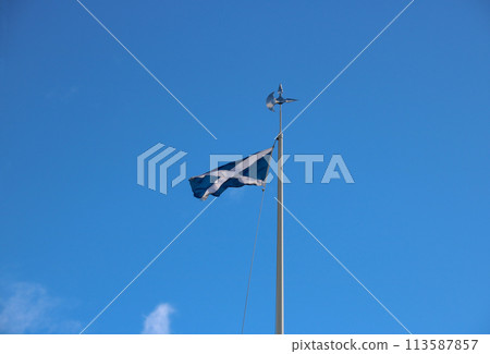 Scottish Saltire National Flag Flying at Bannockburn Battlefield Site in Stirling Scotland Scottish Saltire National Flag Flying at Bannockburn Battlefield Site in Stirling Scotland 113587857