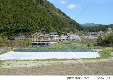 Spring in Ohara, Kyoto, rural scenery, Sakyo Ward, Kyoto City Spring in Ohara, Kyoto, rural scenery, Sakyo Ward, Kyoto City 113587951