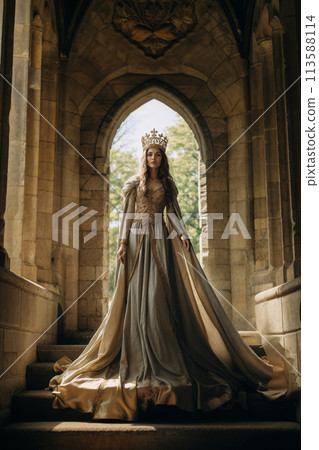 Queen ascending castle staircase majestically 113588114