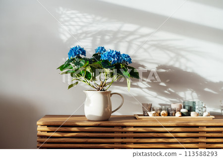Modern minimalist Scandinavian style interior. Candles on tray and House plant blue hydrangea in a pot on wooden console under sunlight and shadows on a white gray wall. Living room design. Biophilia 113588293