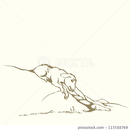 Vector drawing. The sheep got lost in the field Vector drawing. The sheep got lost in the field 113588769