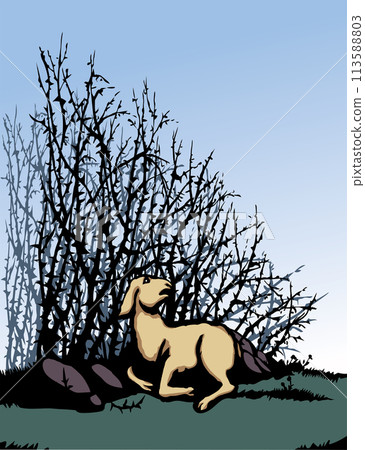 Vector drawing. The sheep got lost in the thorn bushes 113588803