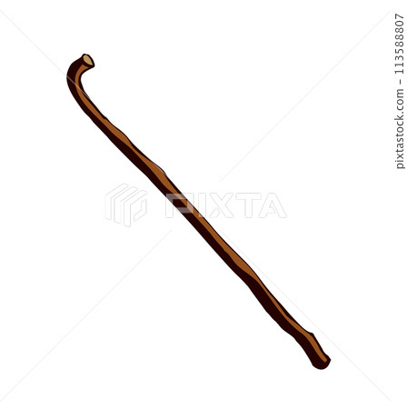 Vector drawing. Old wooden stick 113588807