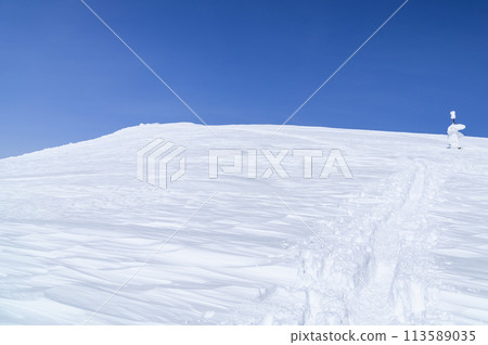 Snowy Mount Tanigawa: A signpost cairn visible in the snowy field Snowy Mount Tanigawa: A signpost cairn visible in the snowy field 113589035