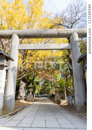 Funabashi Daijingu Shrine (Funabashi City, Chiba Prefecture/Autumn) Funabashi Daijingu Shrine (Funabashi City, Chiba Prefecture/Autumn) 113589394