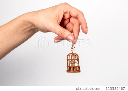 Career, credit and money making concept. A miniature human figure in a birdcage 113589467