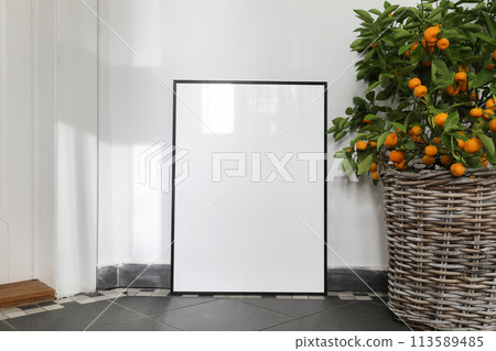 Summer mockup scene. Tangerine, citrus calamondin fruit tree in wicker flower pot. Blank black picture frame. Grey tile floor. White wall background in sunlight Mediterranean interior home still life 113589485