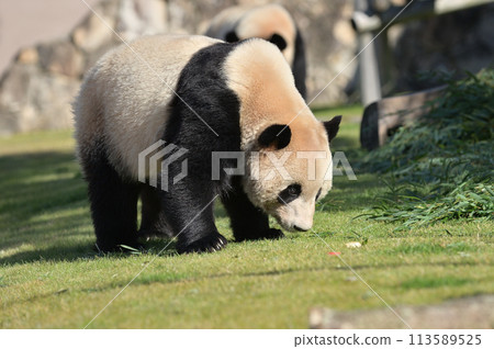 長濱發現零食 113589525