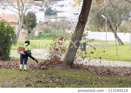 A woman worker is blowing leaves off a tree with a leaf blower 113589528