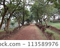 park in Uganda with a long, winding path, lined with green trees and shrubs, and there is a grassy area to the side of the path. The park is well-maintained and appears to be a popular place for peopl 113589976