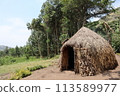small round hut in forest with a thatched roof, made of sticks and mud and has a small door near tree and some plants growing around it in Uganda 113589977