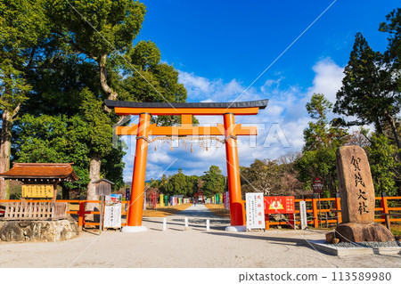 Autumn in Kyoto: First Torii Gate of Kamigamo Shrine 113589980