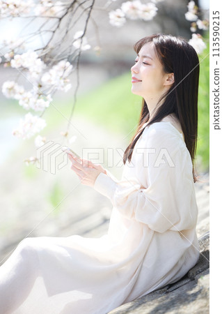 A woman looking at her smartphone under the cherry blossoms A woman looking at her smartphone under the cherry blossoms 113590215