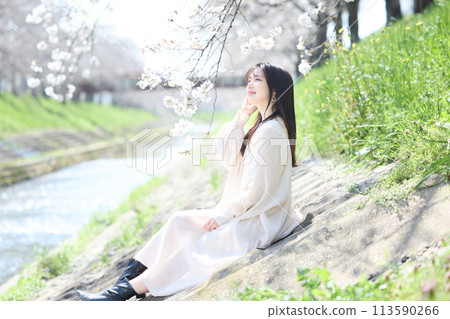 A woman enjoying cherry blossom viewing under the cherry blossoms A woman enjoying cherry blossom viewing under the cherry blossoms 113590266
