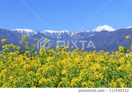 春季安zu野和北阿爾卑斯山 113590332