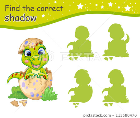 Find correct shadow of baby T-Rex dinosaur vector illustration Find correct shadow of baby T-Rex dinosaur vector illustration 113590470