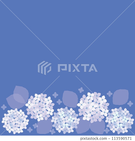 繡球花框白色 繡球花框白色 113590571