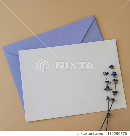 Empty white envelope paper card note template mock up. Copy space for your text. Lavender flower. Greeting or invitation card blank with envelope. Top view 113590776