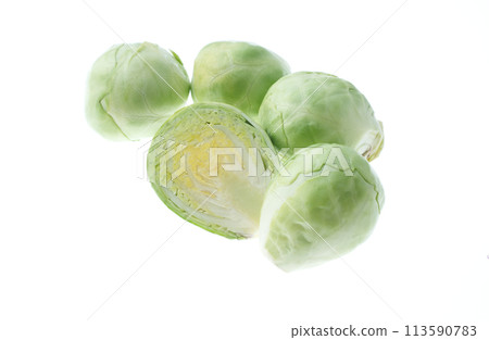 球芽甘藍 球芽甘藍 113590783