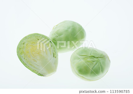 球芽甘藍 球芽甘藍 113590785