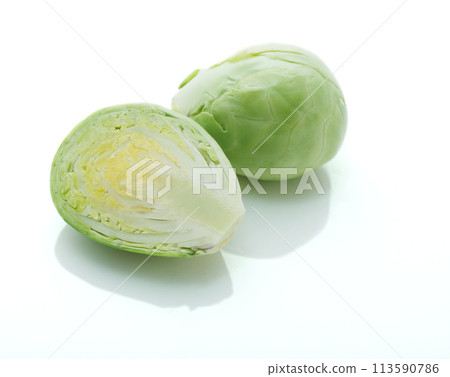球芽甘藍 球芽甘藍 113590786