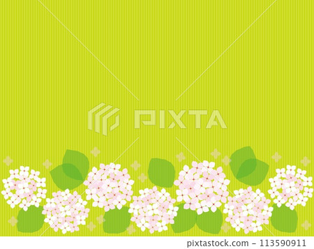 Hydrangea frame stripe white Hydrangea frame stripe white 113590911