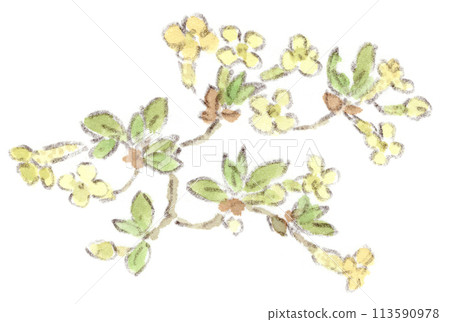 Watercolor illustration of spring plant, small yellow flowers of oleander (Fragaria oleander) 113590978