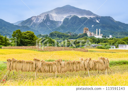 秋天的埼玉/秩父寺坂梯田 秋天的埼玉/秩父寺坂梯田 113591143