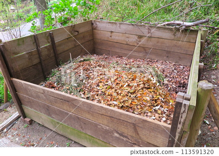 Collection site for fallen leaves (to make compost) Collection site for fallen leaves (to make compost) 113591320