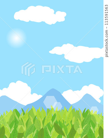 Illustration of blue sky and tea fields (vertical version) Illustration of blue sky and tea fields (vertical version) 113591563