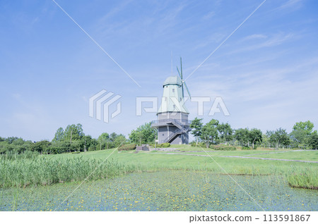 茨城霞浦綜合公園（土浦市） 113591867