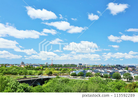 清新的藍天和城市的風景 113592289