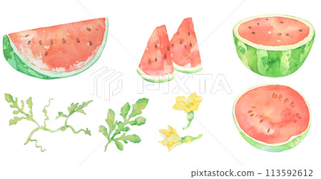 西瓜西瓜水彩插畫夏季水果切圖插畫套裝 西瓜西瓜水彩插畫夏季水果切圖插畫套裝 113592612