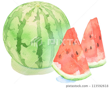 Delicious watercolor illustration of watermelon 113592618