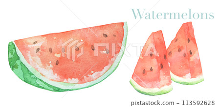 Delicious watercolor illustration of watermelon 113592628