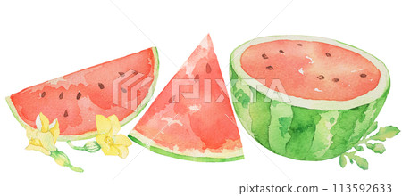 Watermelon Watercolor illustration of watermelon Summer Fruits Cutout 113592633