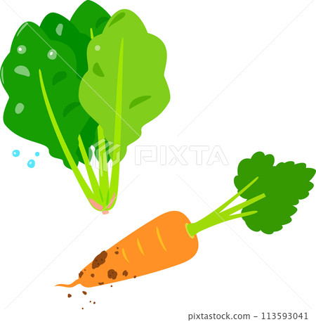 Freshly harvested spinach and carrots 113593041