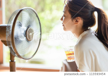 A woman cool with a fan A woman cool with a fan 113593454