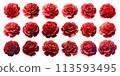 Set of watercolor illustrations of red carnation flowers 113593495