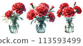A set of watercolor illustrations of red carnations in a glass vase 113593499