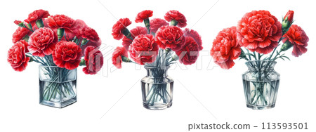 A set of watercolor illustrations of red carnations in a glass vase 113593501