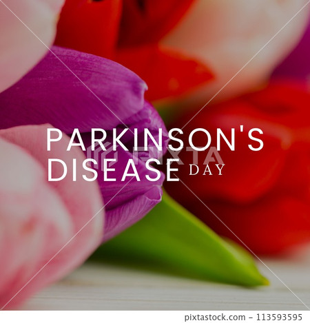 Composition of parkinson's disease day text over bunch of multi coloured tulips 113593595
