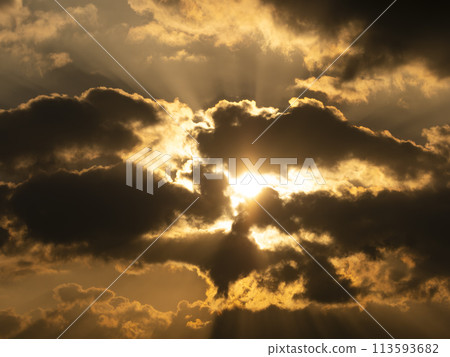 Morning sun shining through the clouds 113593682