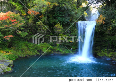 Jion Falls in autumn (Kusu Town and Amanose Town) Jion Falls in autumn (Kusu Town and Amanose Town) 113593767