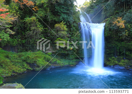 Jion Falls in autumn (Kusu Town and Amanose Town) 113593771