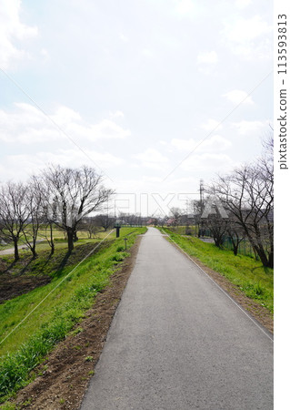Jogging Road 113593813