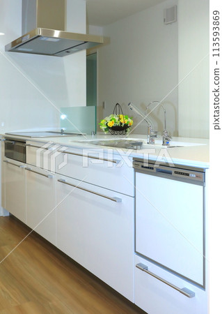 System kitchen (newly built house, vertical layout) System kitchen (newly built house, vertical layout) 113593869