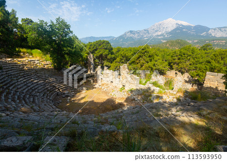 View of the Roman amphitheater in the city of Phaselis View of the Roman amphitheater in the city of Phaselis 113593950